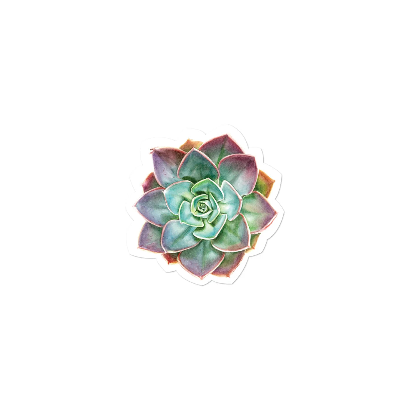 Succulent Shaped Napkin 20 PK