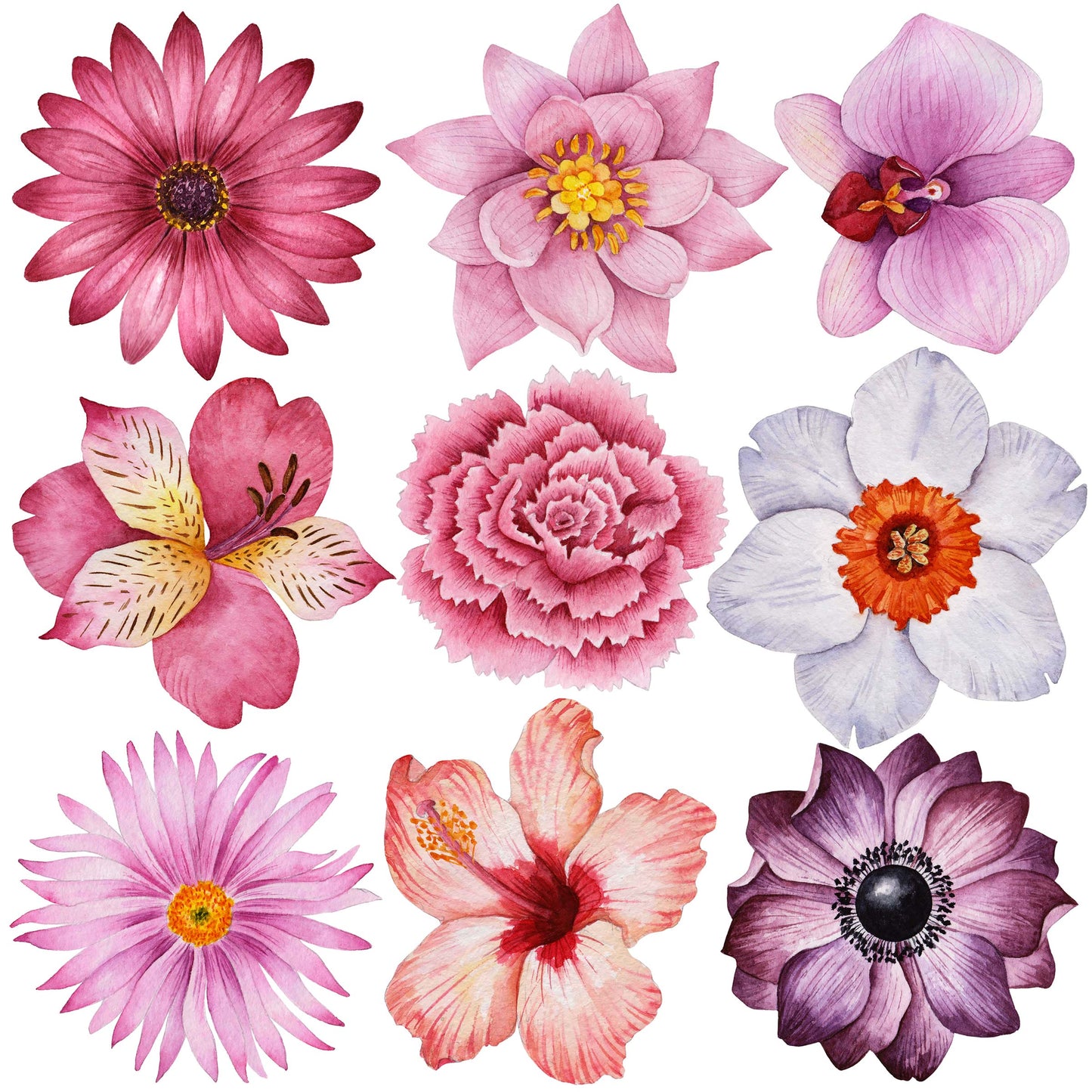 Table Cloth Rental, Floral Petals