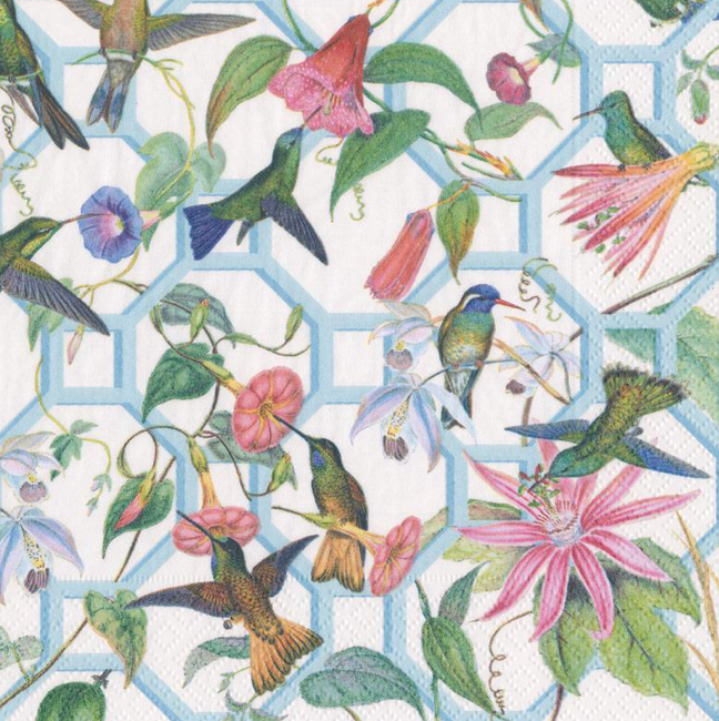 Hummingbird Trellis Paper Luncheon Napkins - 20 Per Package
