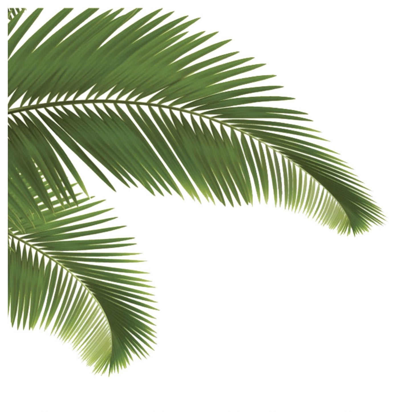 South Beach Charger - (SQUARE)