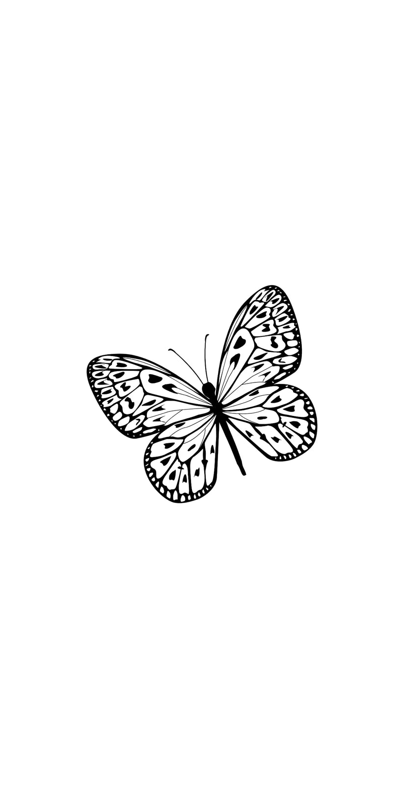 Black Butterfly  - Guest / Cocktail Napkins