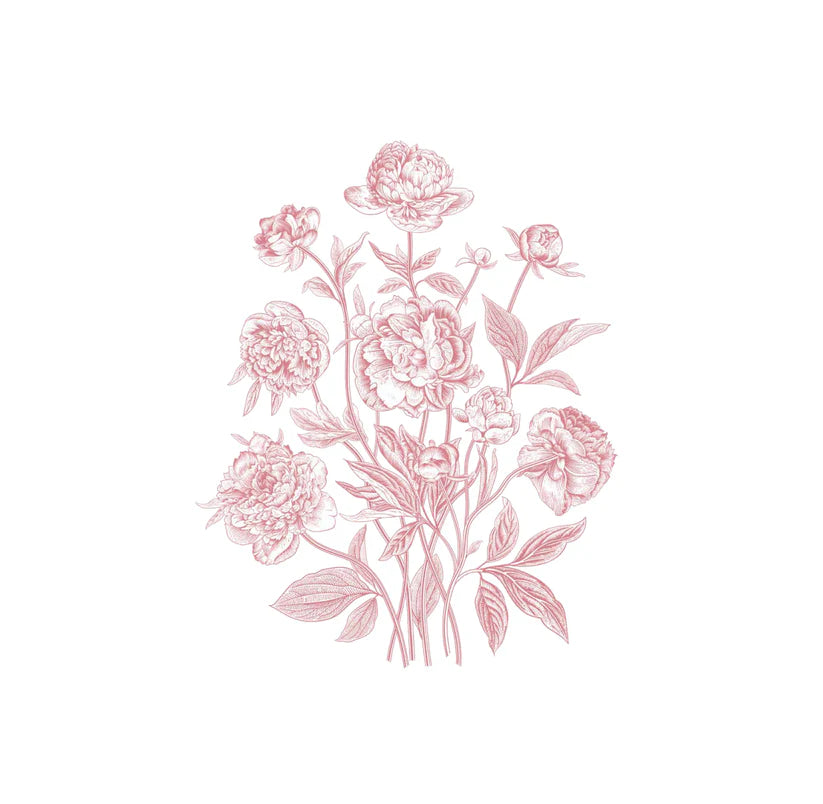 Peony Cluster - Guest / Cocktail Napkins