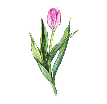 Field of Tulips - Guest / Cocktail Napkins