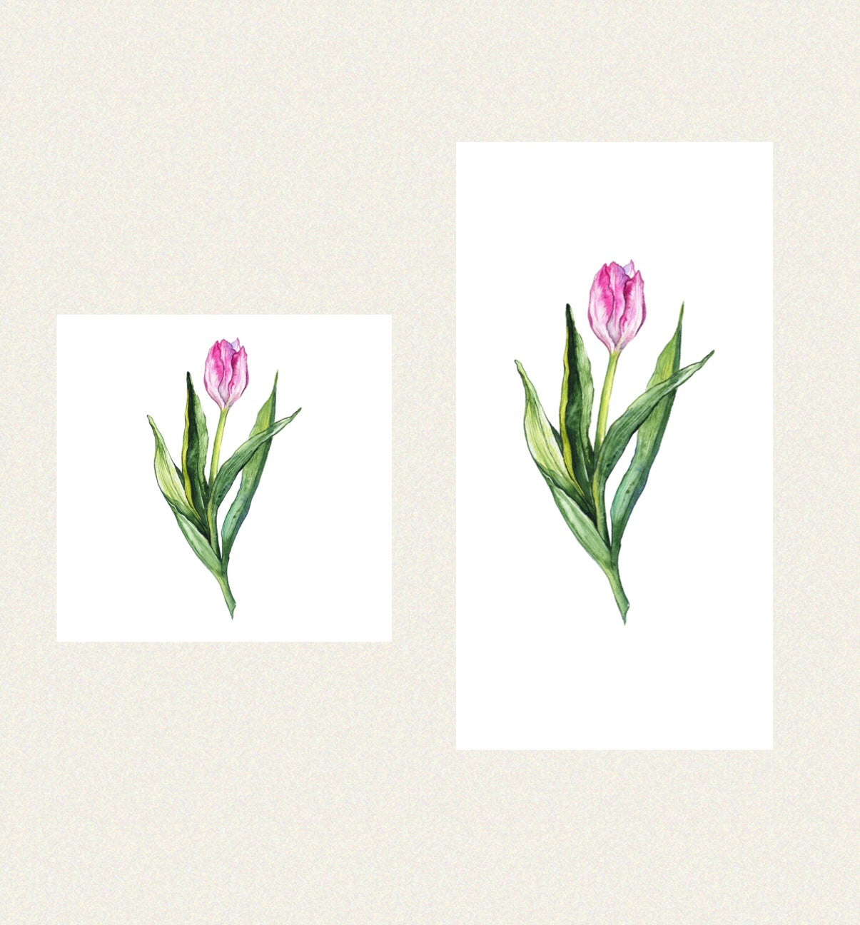 Field of Tulips - Guest / Cocktail Napkins