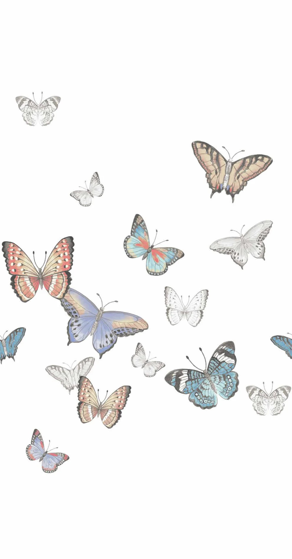 Butterflies- Guest / Cocktail Napkins