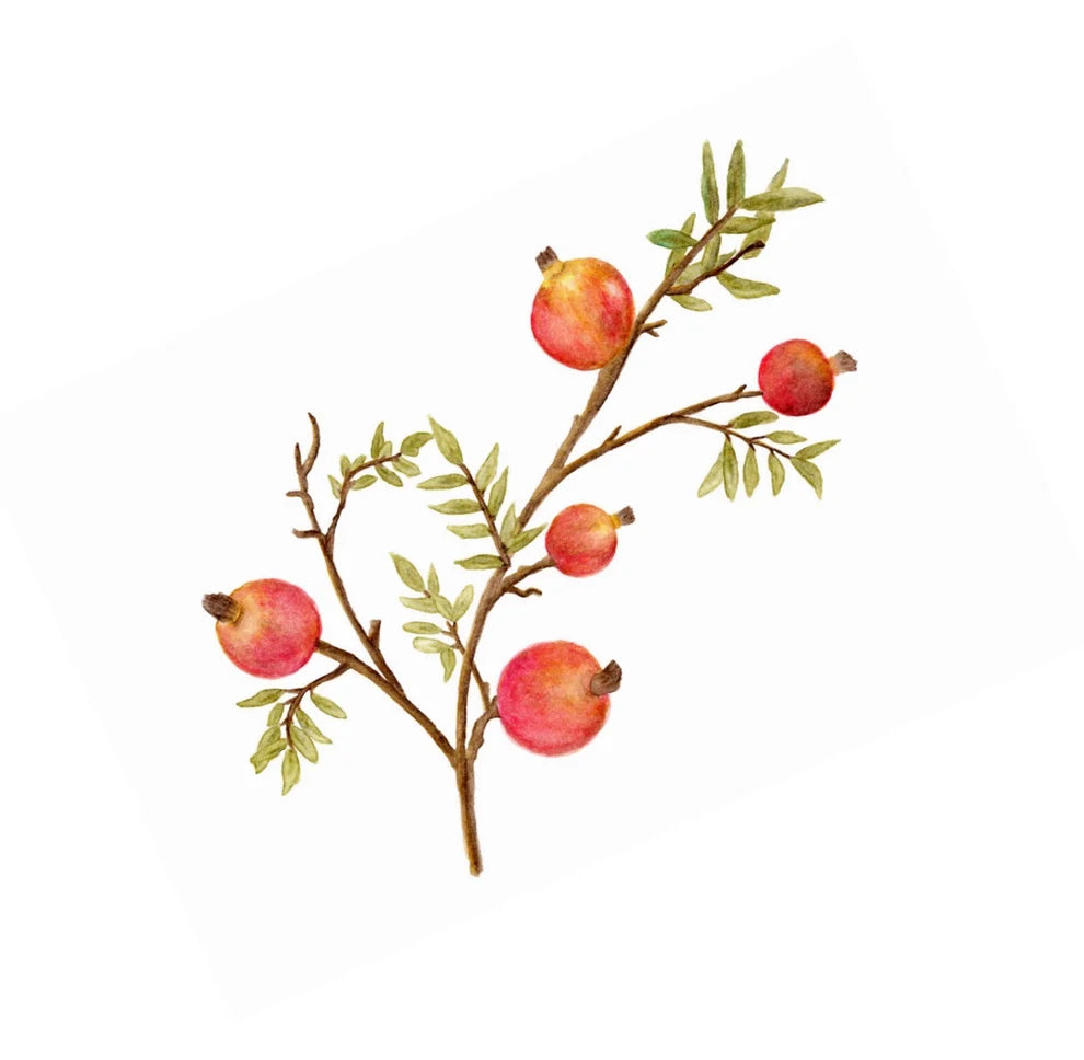 Rosh Hashanah Rimon Branch - Guest / Cocktail Napkins