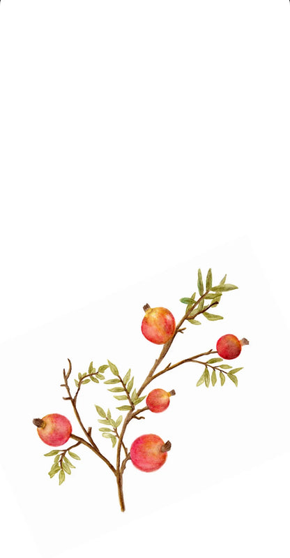 Rosh Hashanah Rimon Branch - Guest / Cocktail Napkins