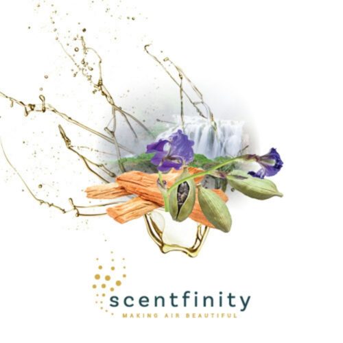Scentifinity Original Brand Plug - In Diffuser  Elation Gift Set